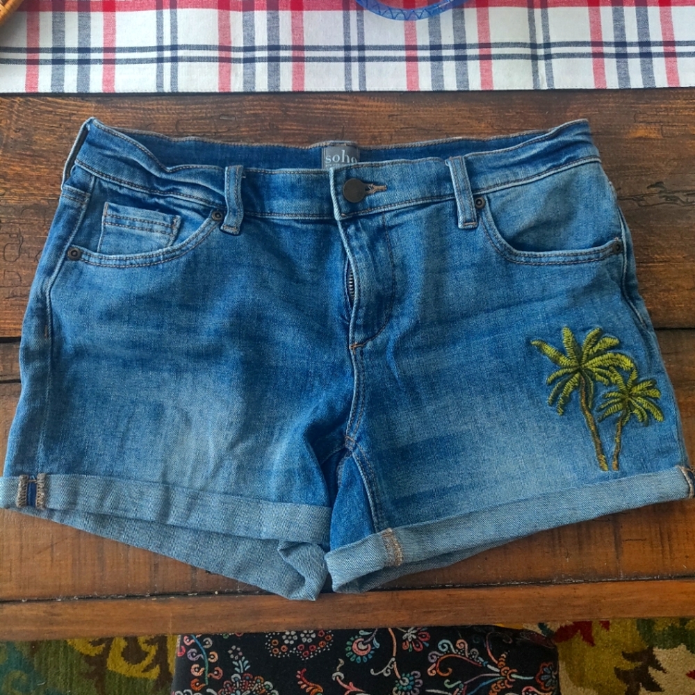 Cute pair of embroidered jean shorts